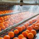 Fruit Industry Market Research