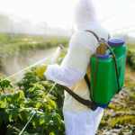 Organic Chemicals Market Research