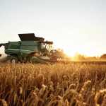 Agricultural Crops Market Research