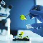 Biotechnology Market Research