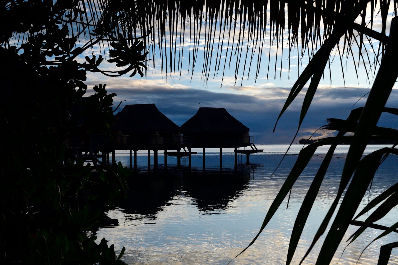 Market research in French Polynesia