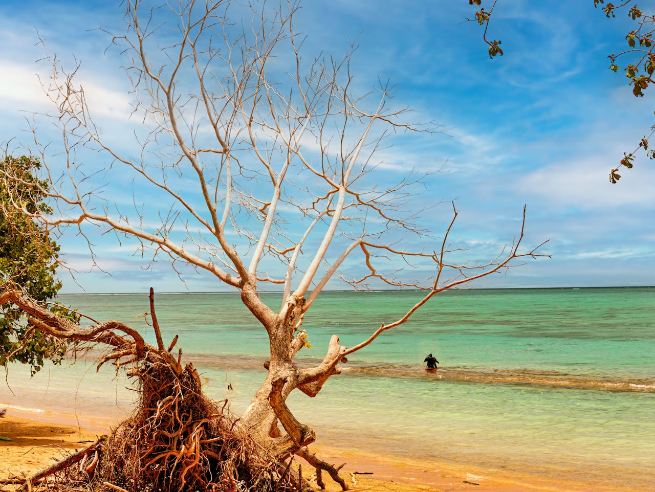 Market research in Samoa