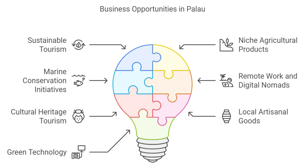 Market research in Palau